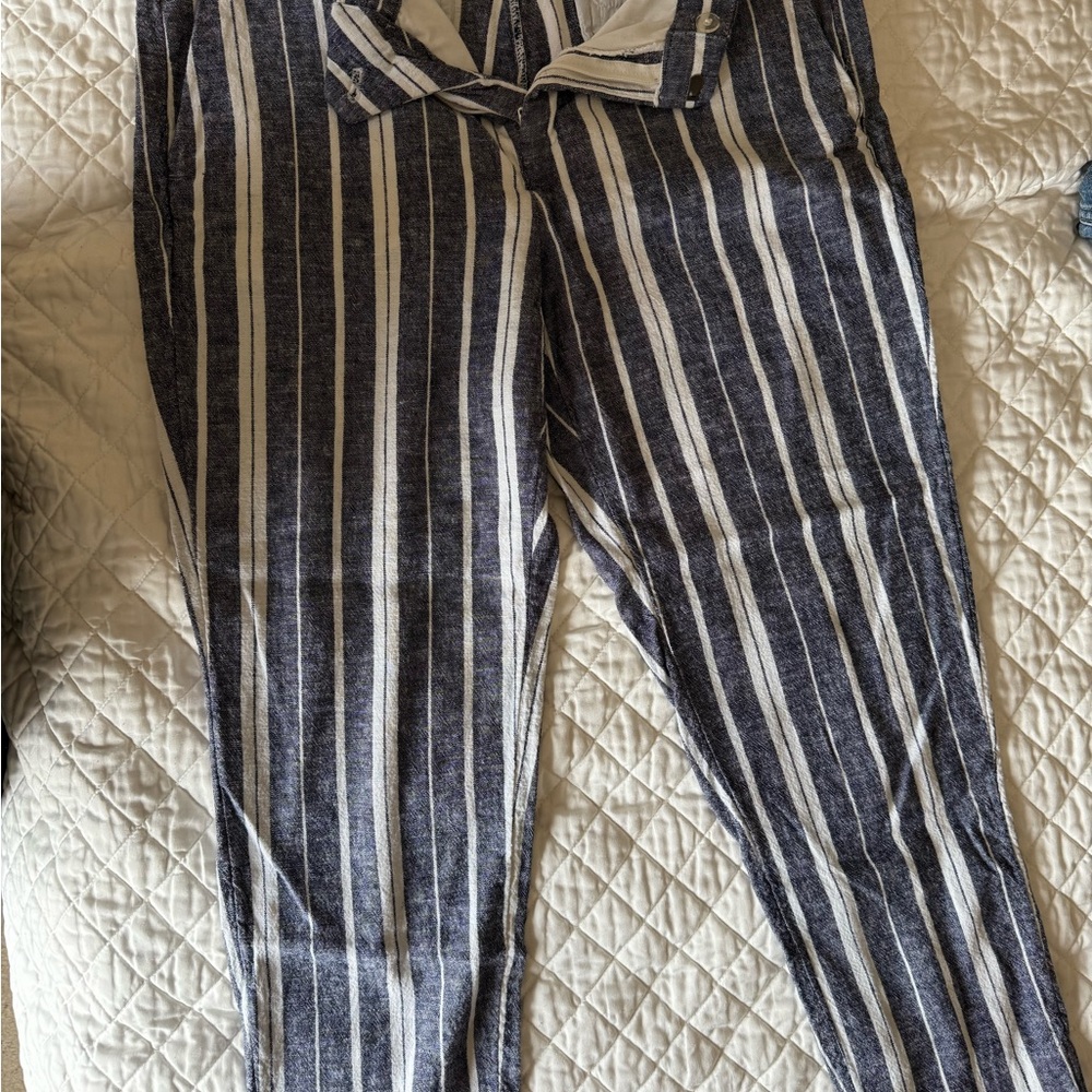 Banana Republic Blue and White Cropped Pants with Stripes